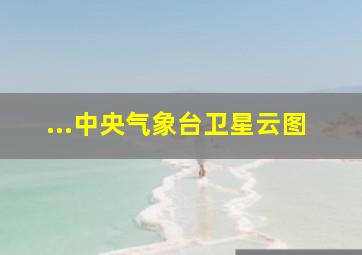 ...中央气象台卫星云图