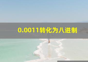 0.0011转化为八进制