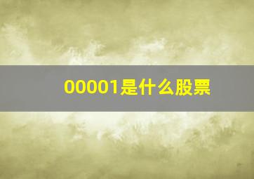 00001是什么股票