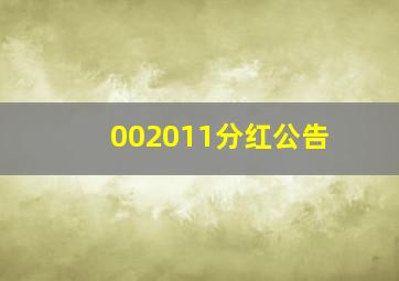 002011分红公告