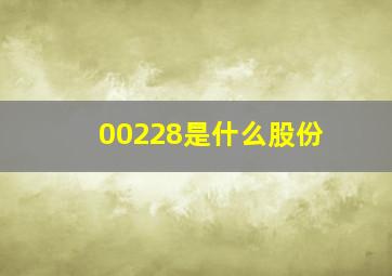 00228是什么股份