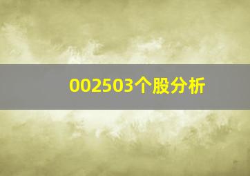 002503个股分析