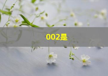 002是