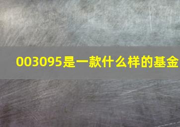 003095是一款什么样的基金