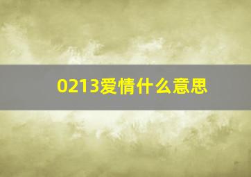 0213爱情什么意思