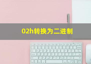 02h转换为二进制