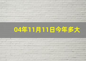 04年11月11日今年多大