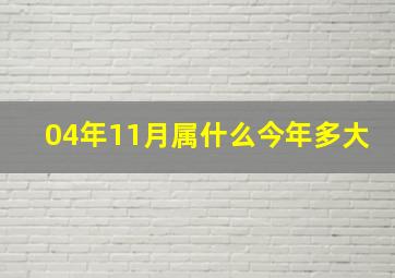 04年11月属什么今年多大