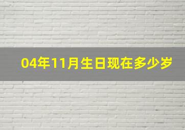 04年11月生日现在多少岁