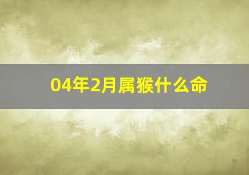 04年2月属猴什么命