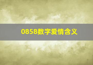 0858数字爱情含义