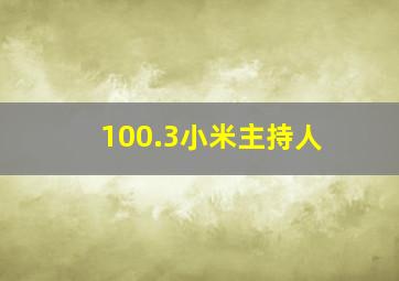 100.3小米主持人