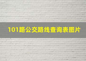 101路公交路线查询表图片