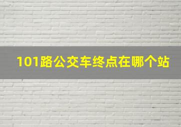 101路公交车终点在哪个站