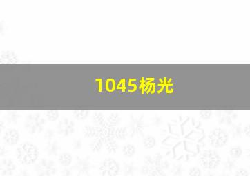 1045杨光