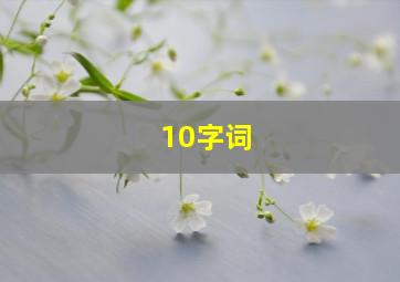 10字词