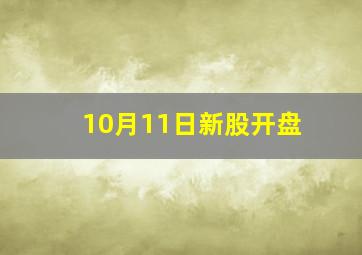 10月11日新股开盘