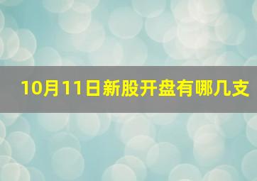 10月11日新股开盘有哪几支