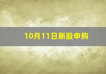 10月11日新股申购