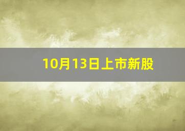 10月13日上市新股