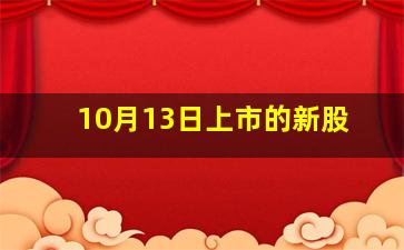 10月13日上市的新股