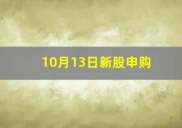 10月13日新股申购