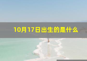 10月17日出生的是什么