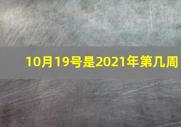 10月19号是2021年第几周