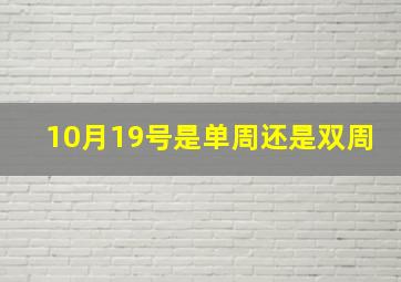 10月19号是单周还是双周