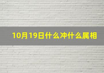 10月19日什么冲什么属相