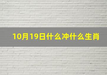 10月19日什么冲什么生肖