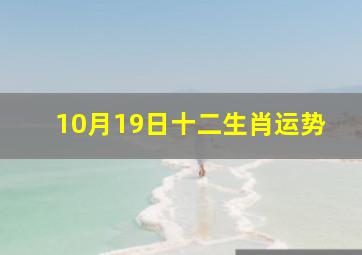 10月19日十二生肖运势