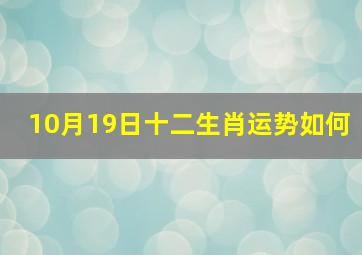 10月19日十二生肖运势如何