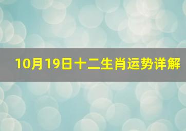 10月19日十二生肖运势详解