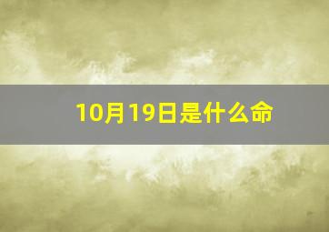 10月19日是什么命