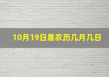 10月19日是农历几月几日