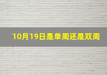 10月19日是单周还是双周