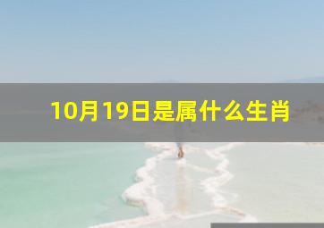 10月19日是属什么生肖