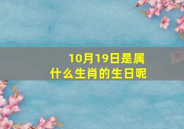 10月19日是属什么生肖的生日呢