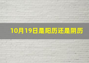 10月19日是阳历还是阴历