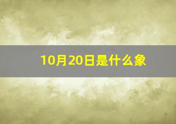 10月20日是什么象