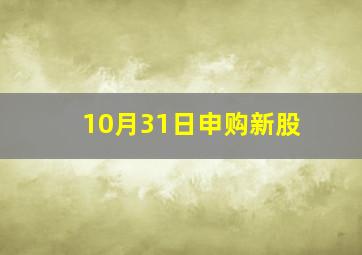 10月31日申购新股