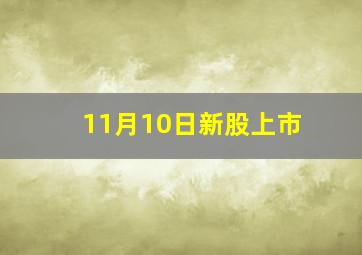 11月10日新股上市