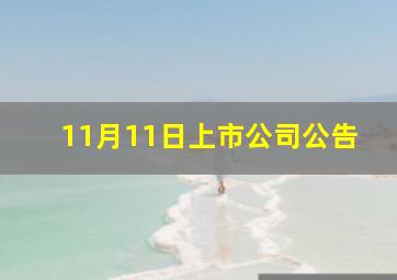 11月11日上市公司公告