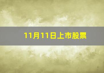 11月11日上市股票