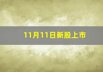 11月11日新股上市