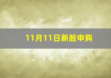 11月11日新股申购