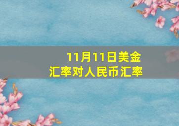 11月11日美金汇率对人民币汇率