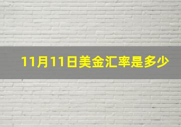 11月11日美金汇率是多少