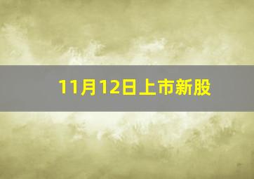 11月12日上市新股